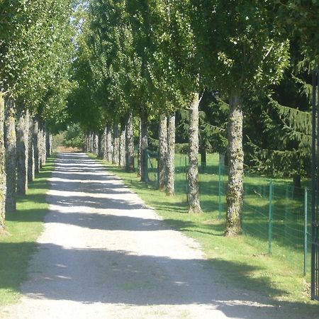 Chevigny Allee Des Peupliers Bed & Breakfast エクステリア 写真