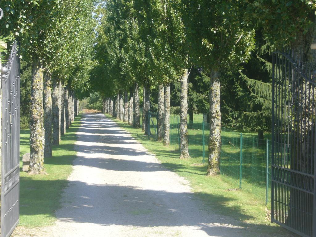 Chevigny Allee Des Peupliers Bed & Breakfast エクステリア 写真